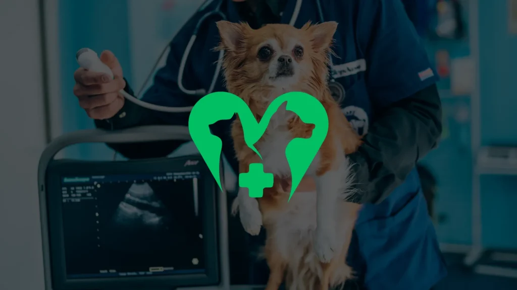 A veterinarian holds a small dog for an ultrasound exam, with a green heart-shaped veterinary logo overlaying the image. The background shows medical equipment in a clinic setting.